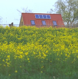 PV in the polder? YES, and with high yields! (PV on farm in Starrevaartpolder, Leidschendam NL)